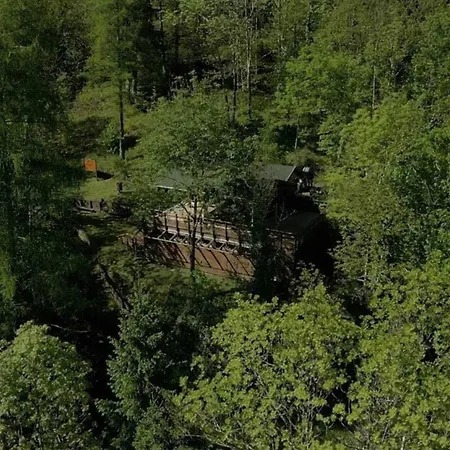 En Pleine Foret Domaniale Сasa de vacaciones Prats-de-Mollo-la-Preste